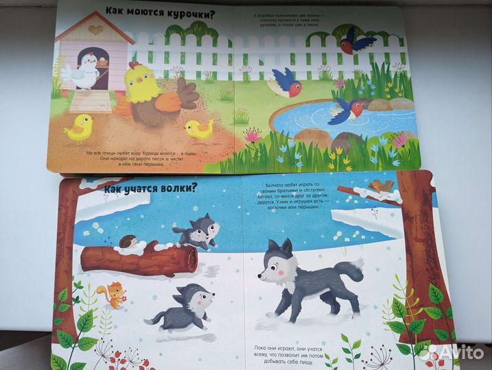 Книги детские Clever