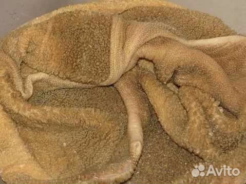 Мясо для собак :рубец, щётка, обрезь