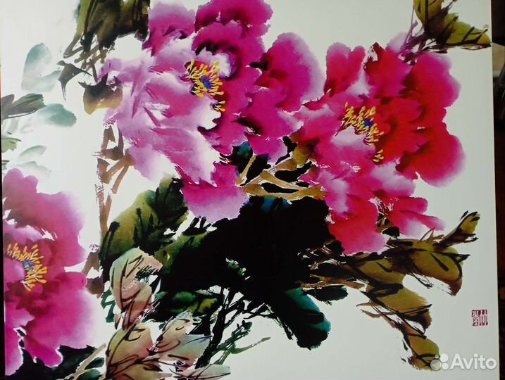 Постер пионы