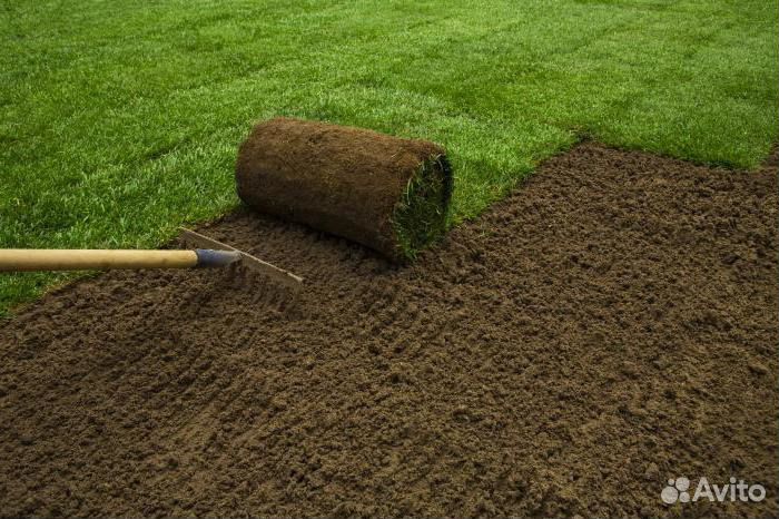 Рулонный газон.Укладка