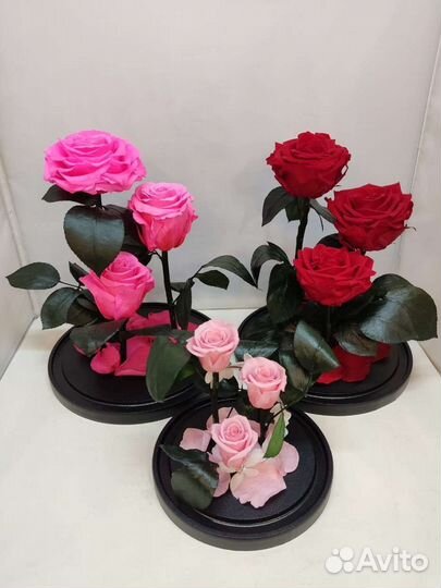 Цветы оптом