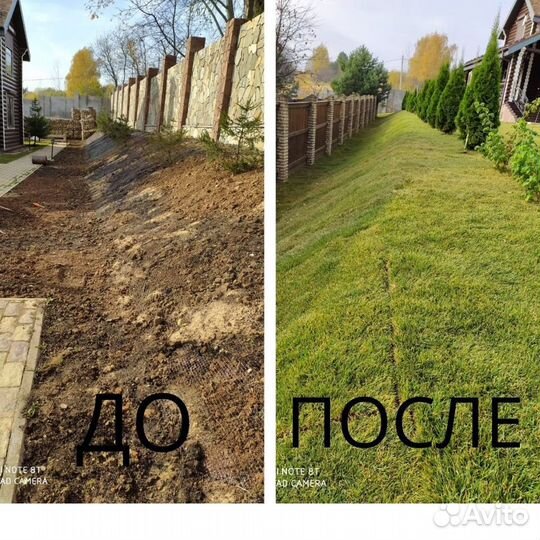 Рулонный газон от производителя Венюково