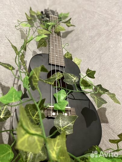 Укулеле концерт