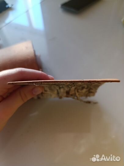 Береста необработанная 10на10 10 листов