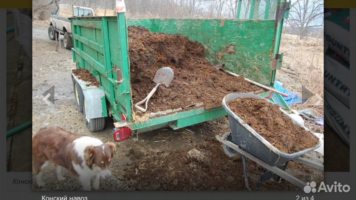 Конский Навоз с погрузкой