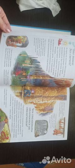 Детская энциклопедия