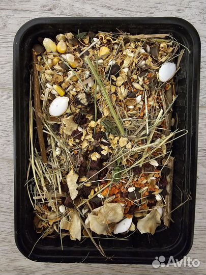 Корм для крыс