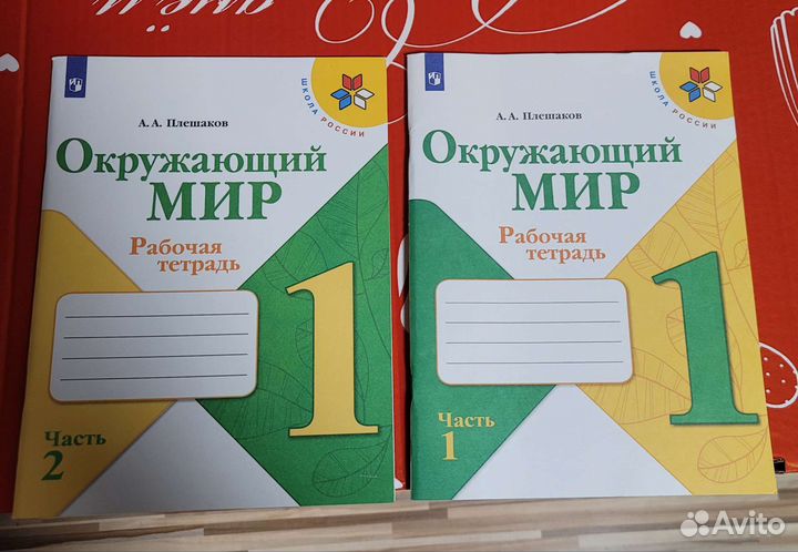 Рабочая тетрадь окружающий мир 1 класс