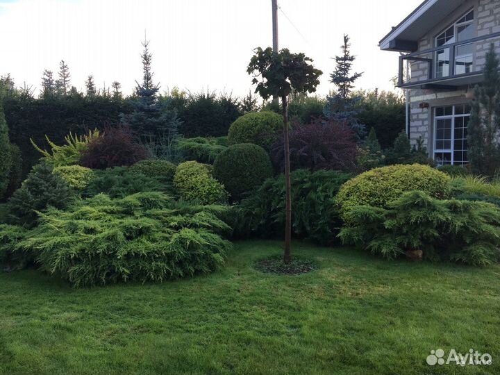 Земля-грунт