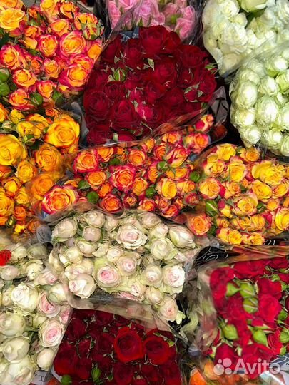 Розы оптом и в розницу - цветы и букеты