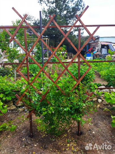 Шпалера садовая