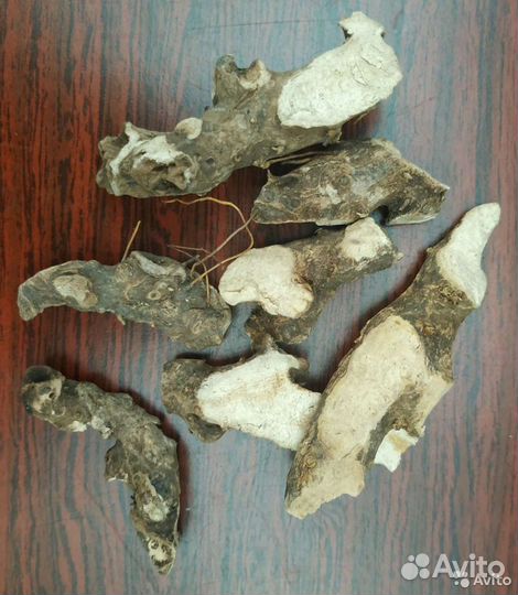 Лапчатка белая, Ятрышник, Солодка, Барбарис