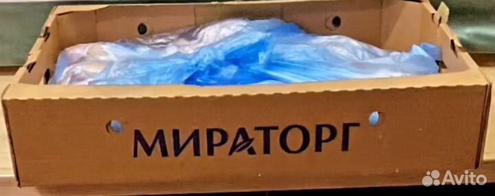 Мясо курицы оптом