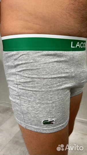 Мужские трусы. Lacoste. Premium. Размеры 50-52-54