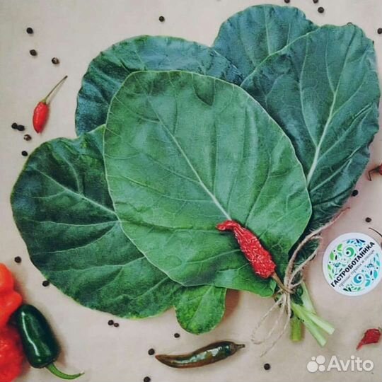 Экзотические растения для шеф-поваров