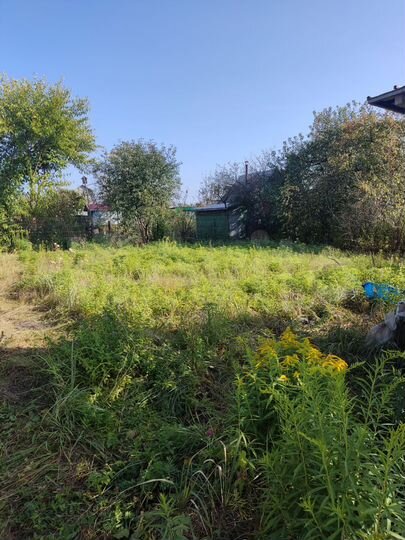 Участок 5,9 сот. (СНТ, ДНП)