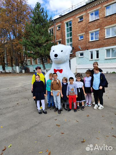 Белый медведь аниматор, панда, ушастик и другие