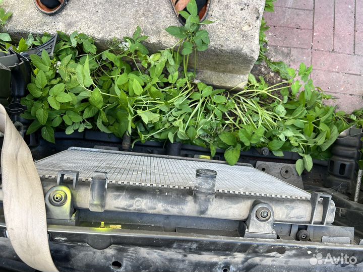 Ноускат Пежо 406 рестайлинг из Японии