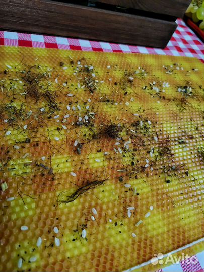 Свечи на запрос