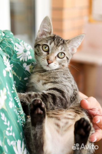 Малышка Тоня в добрые руки