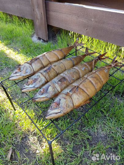 Скумбрия, Терпуг, Лещ горячего копчения г.Барнаул