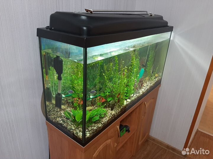 Аквариум с тумбой 150 литров