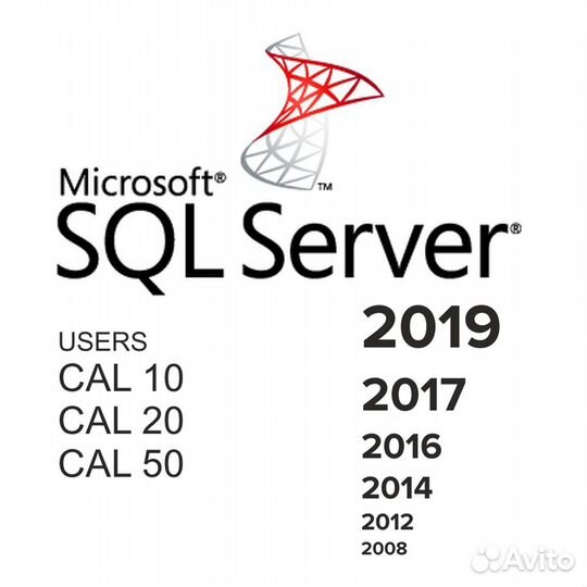 Microsoft SQL Server 2019 2017 2016 Cal users