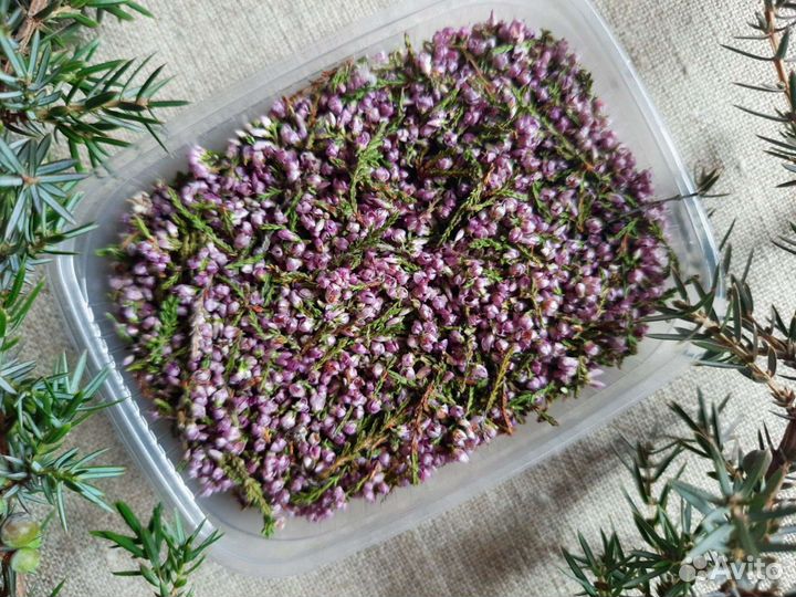 Вереск соцветия. Сухоцветы