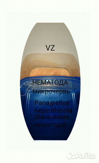 Нематода банановая(микрочервь) для поднятия молоди