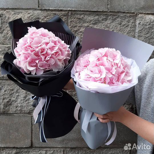 Гортензия. Букеты из Гортензий. Доставка