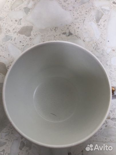 Чайная пара вербилки