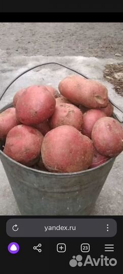 Картофель с доставкой