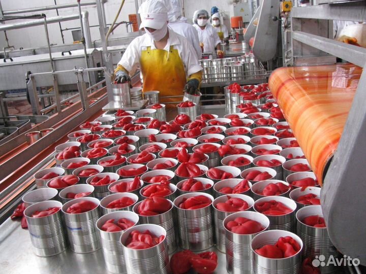 Упаковщик консервов Вахта в Москве без опыта 30 см