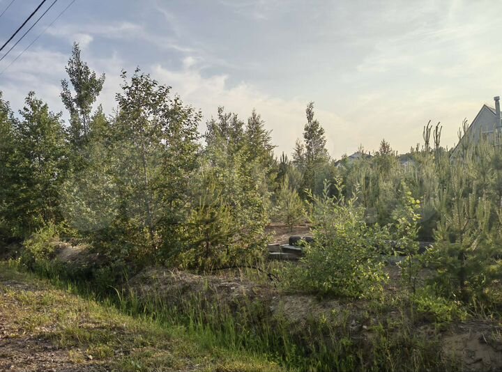 Участок 12 сот. (СНТ, ДНП)