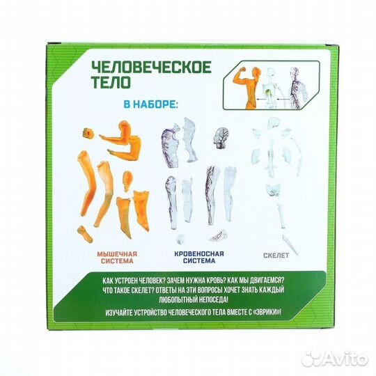 Эврики Научный опыт 