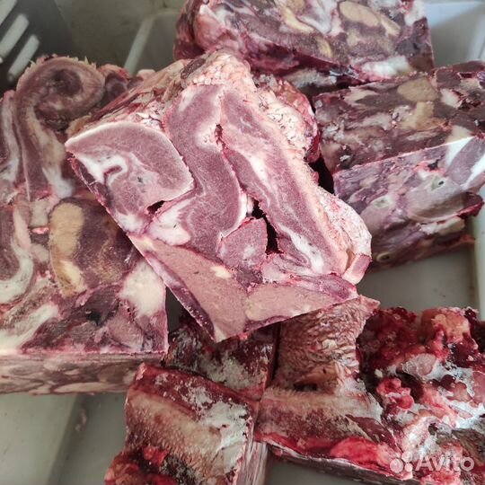 Мясо для животных