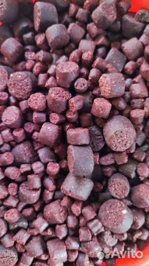 Пеллетс карповый