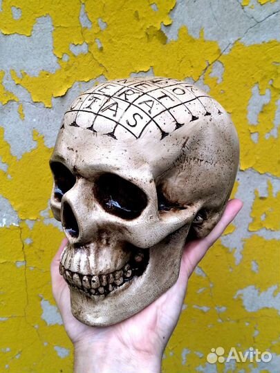 Черепа для декора