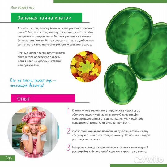 77980 Микроскоп цифровой Discovery Pico Polar с кн