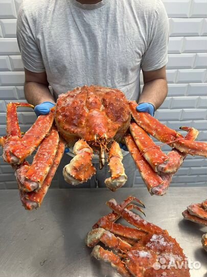 Крабы, раки, клешни