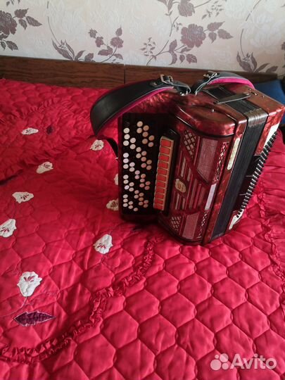 Баян weltmeister