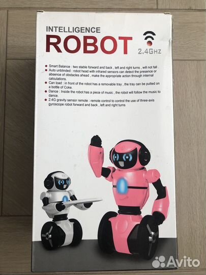 Робот Intelligence Robot F-1