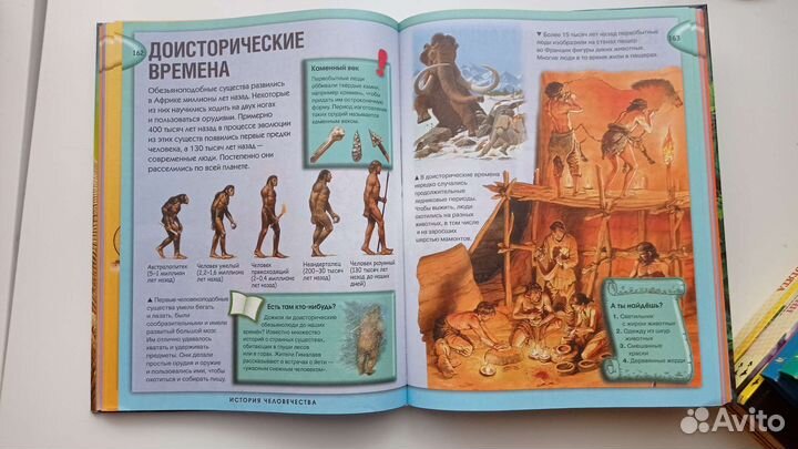 Энциклопедия для детей