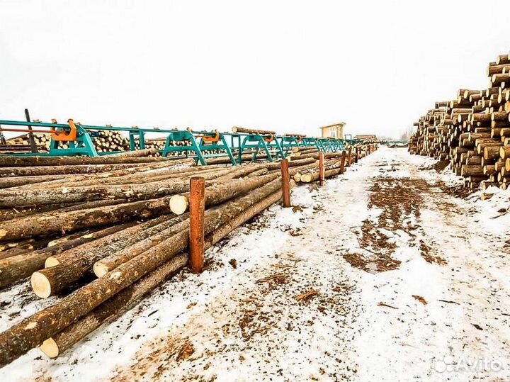 Линия сортировки бревна