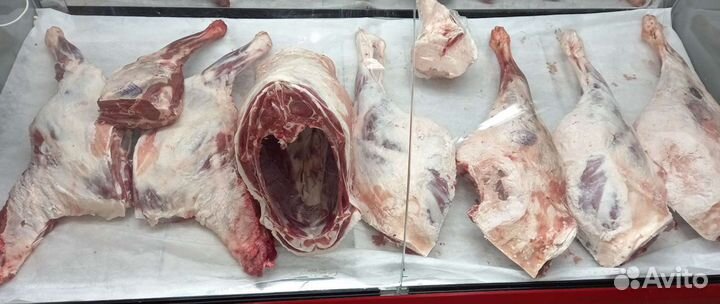 Мясо говядина и баранина. халяль