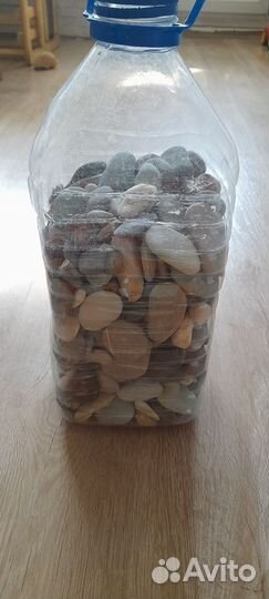 Галька и ракушки