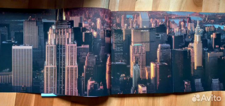 Нью-Йорк. Констанца Поли