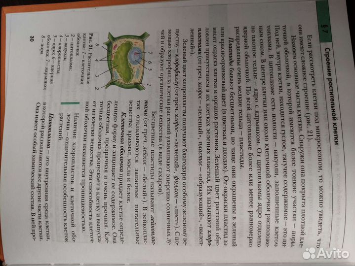 Учебник по биологии 6 класс