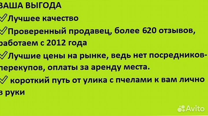 Мед с каштана для чая доставлю авито 0р