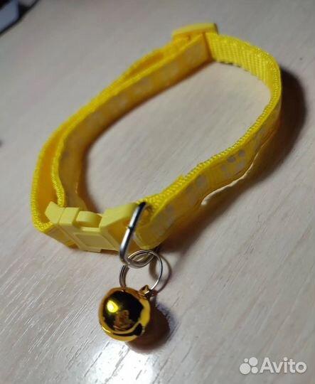 Ошейник для маленькой собаки